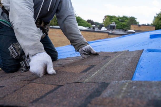 Best Roof Moss and Algae Removal  in Rossville, GA